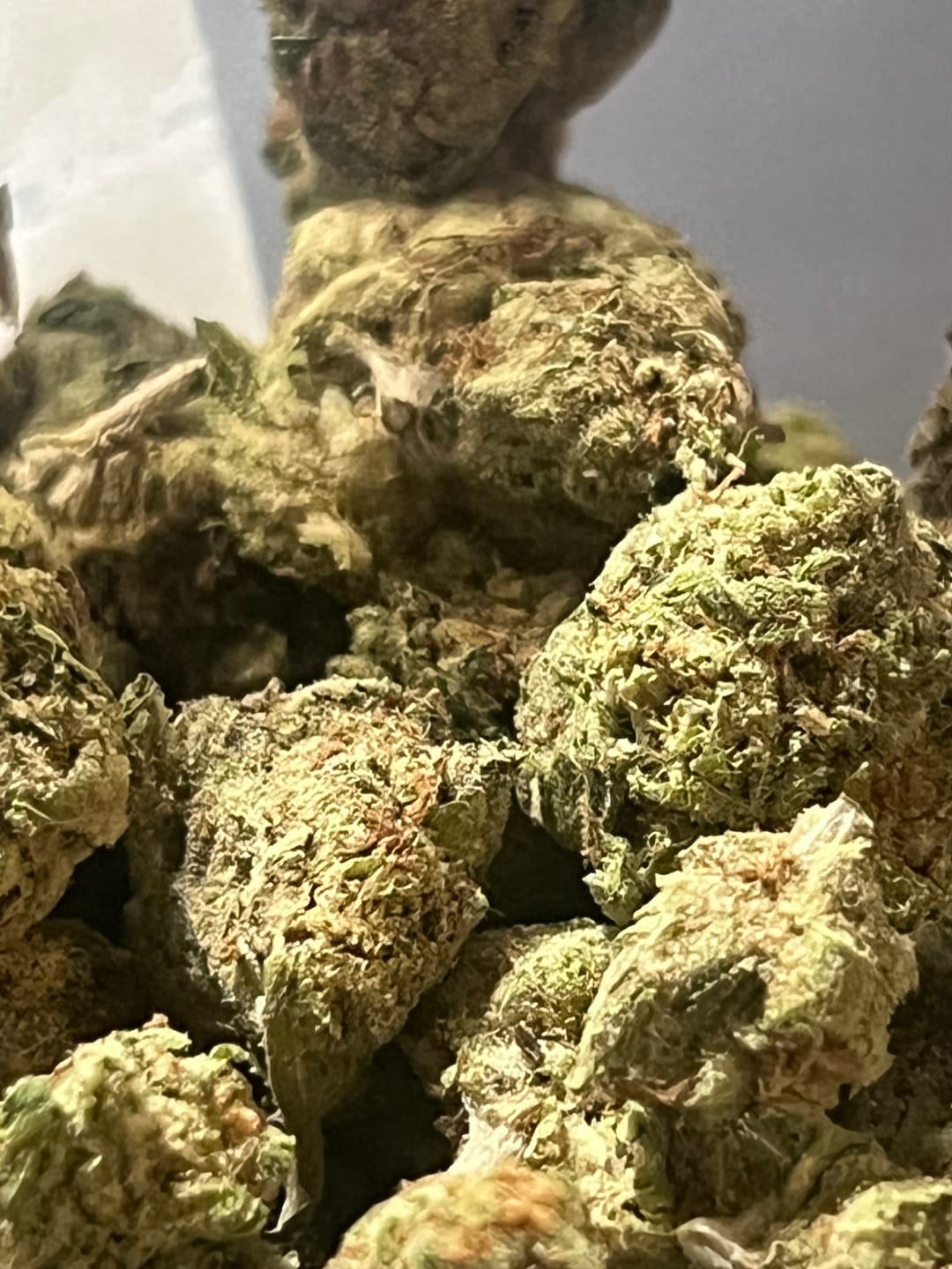 Customer photo review of Blue Punch - Bulk - Indica