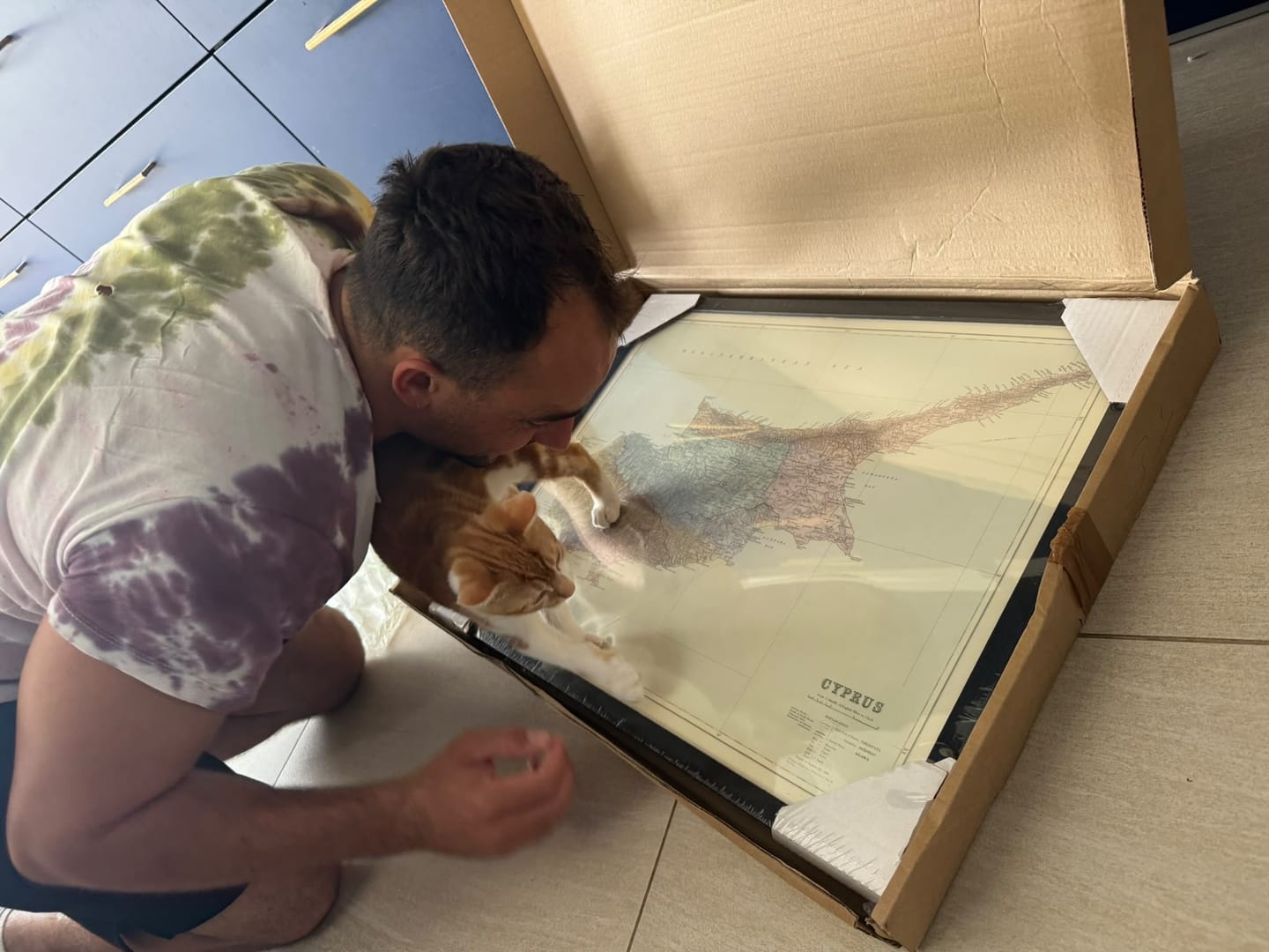 Customer photo review of Old Map of Cyprus by Stanford, 1904: Nicosia, Troodos Mtns, Ancient Sites, Bays, Districts