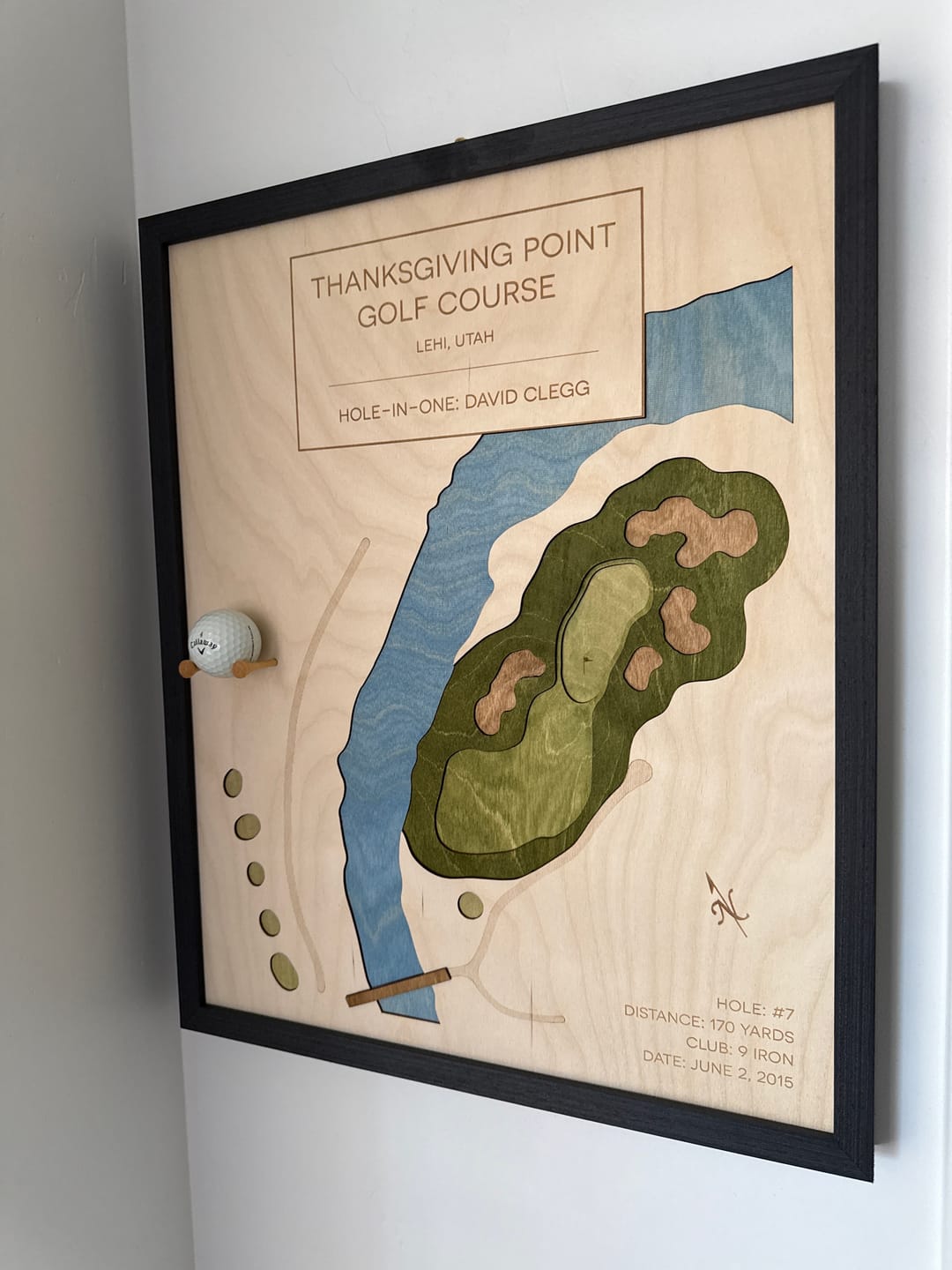 Customer photo review of Personalized Hole-in-One | Single Hole Golf Art