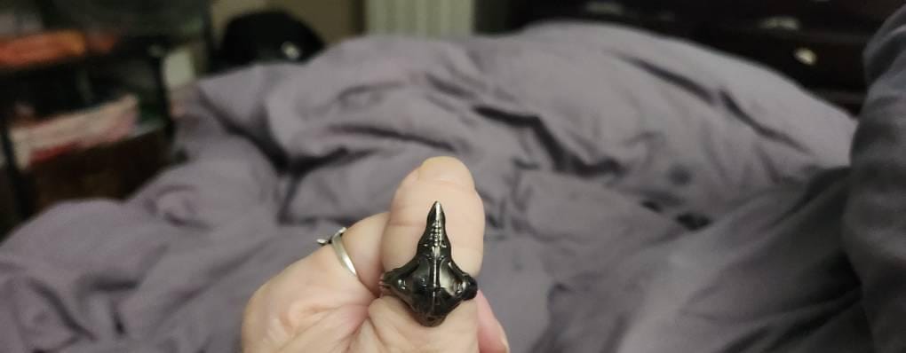 Customer photo review of Plague Doctor Ring
