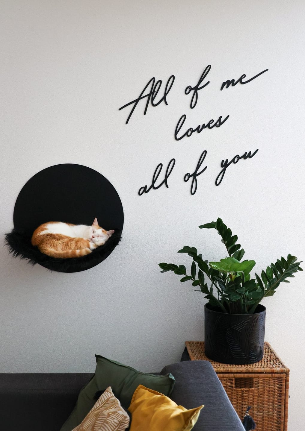Customer photo review of STYA Katzen Kletterwand | Hängematte WL110