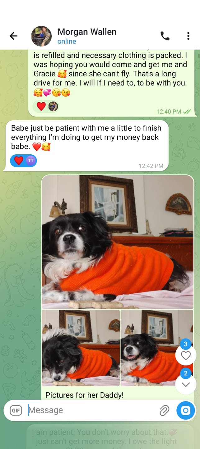 Customer photo review of FurLife™ 12 Months Flea and Tick Free