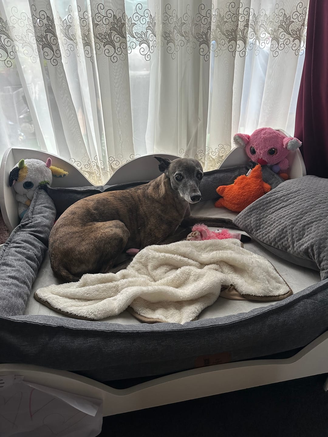 Customer photo review of Pet Perfect Orthopedische Hondenmand - Model 3