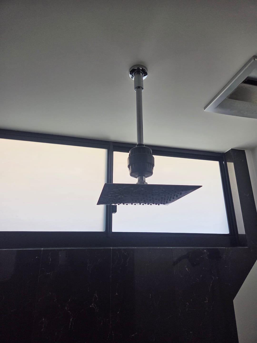Customer photo review of Shower Purifier Filter Refill