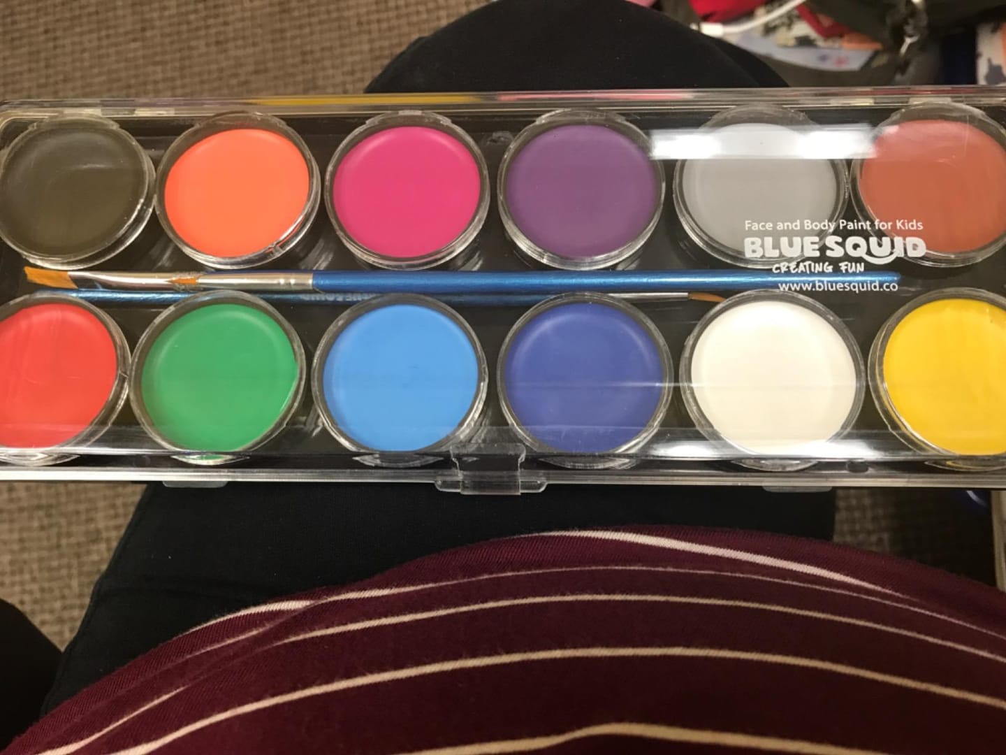 Customer photo review of Blue Squid Face Paint Palette – 12 Colours