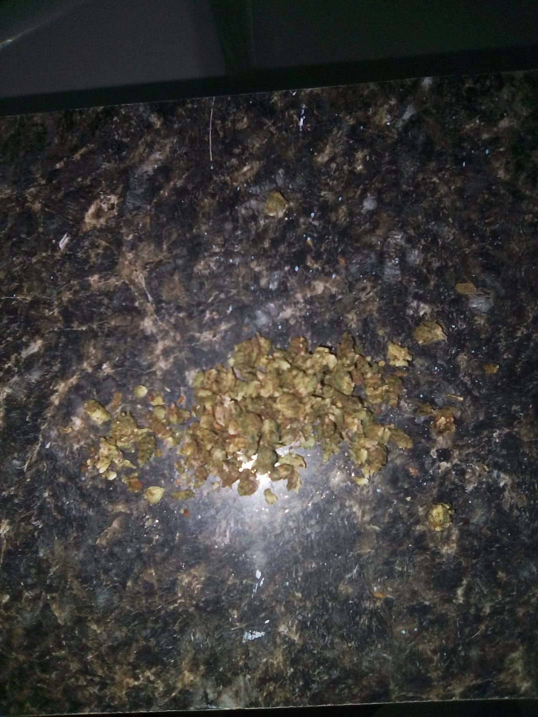 Customer photo review of FREE SAMPLE (with code) THCa Flower