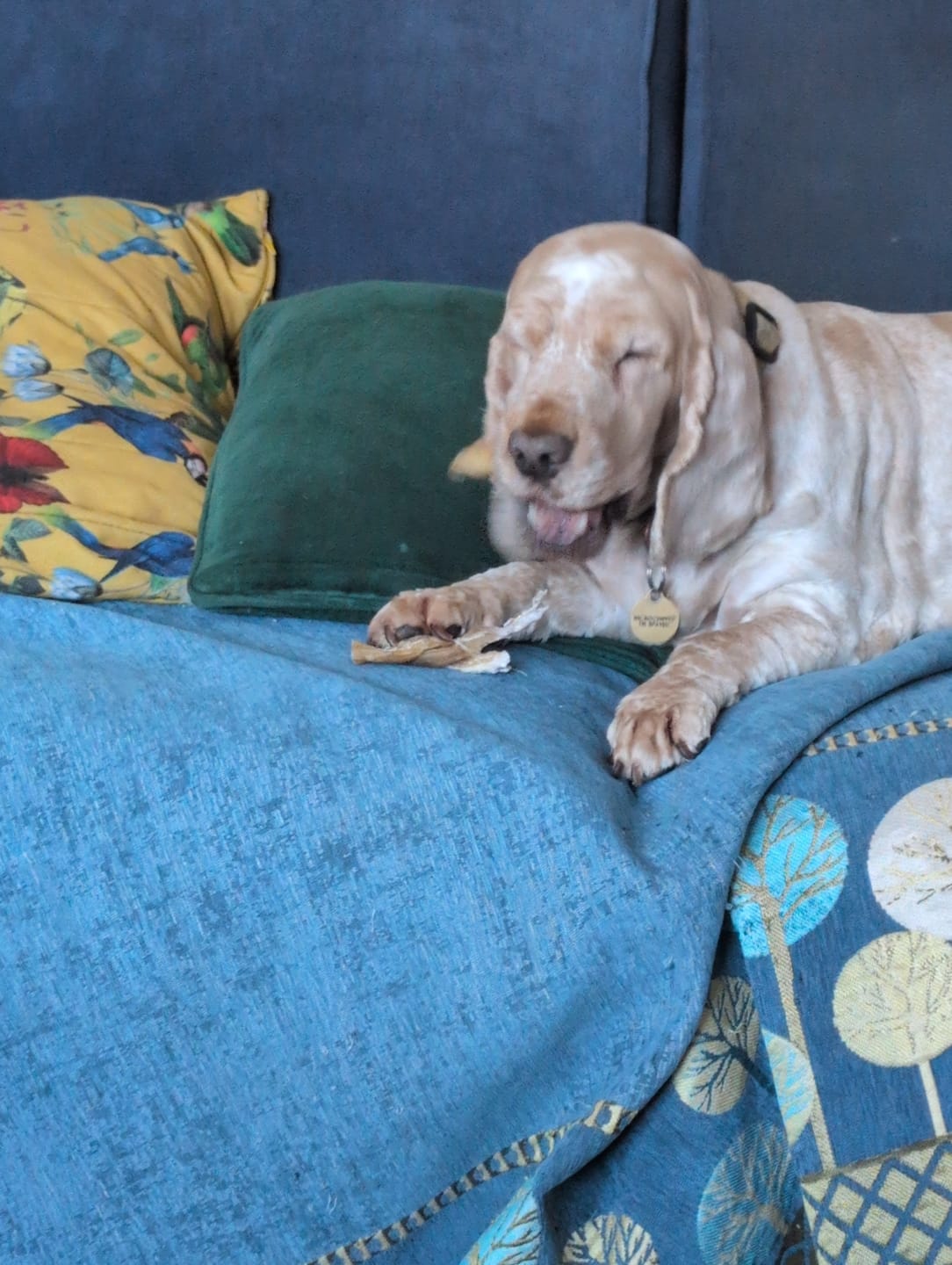 Customer photo review of YAK Chew Peanut & Banana (M)