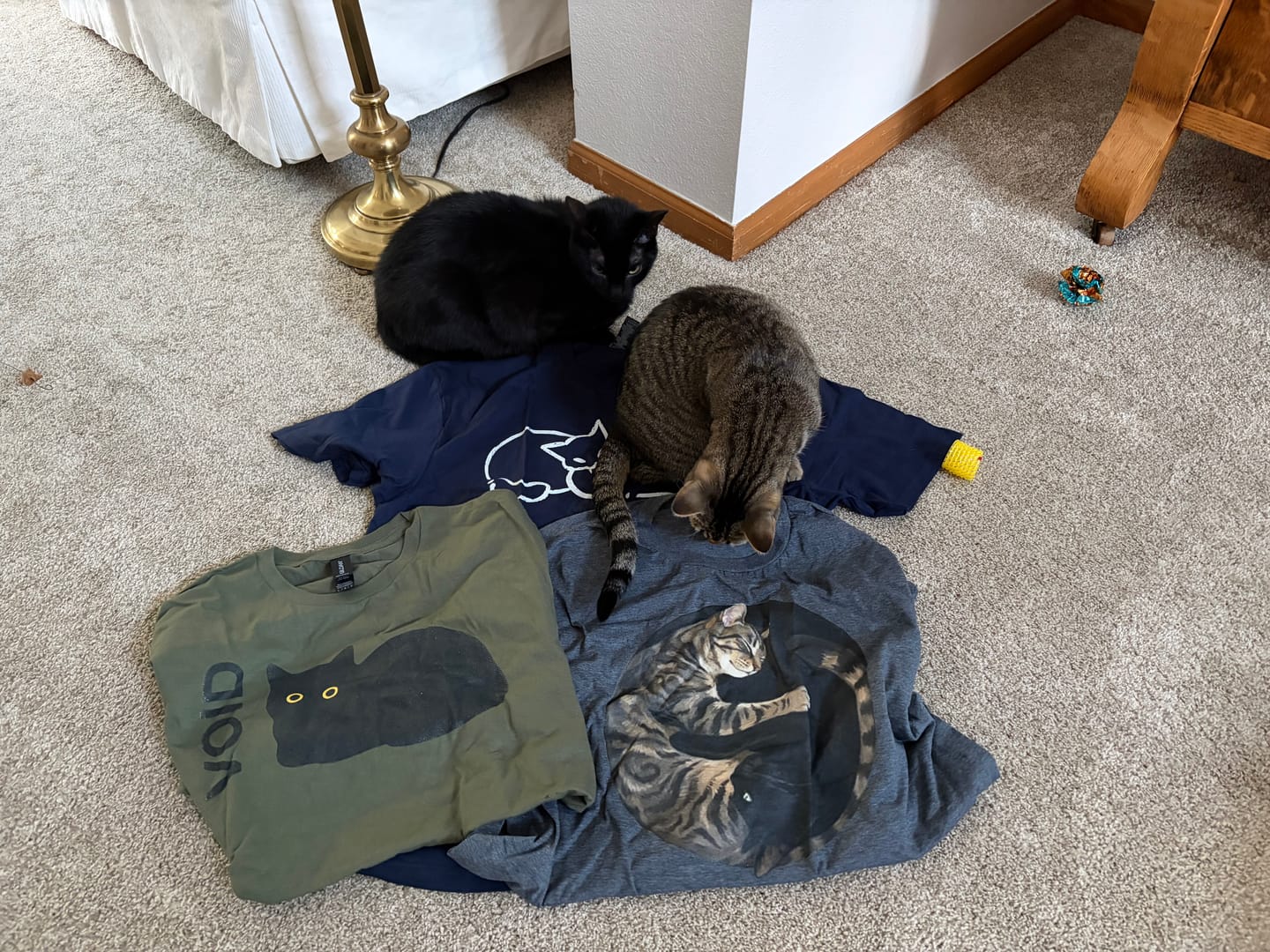 Customer photo review of Void Tee