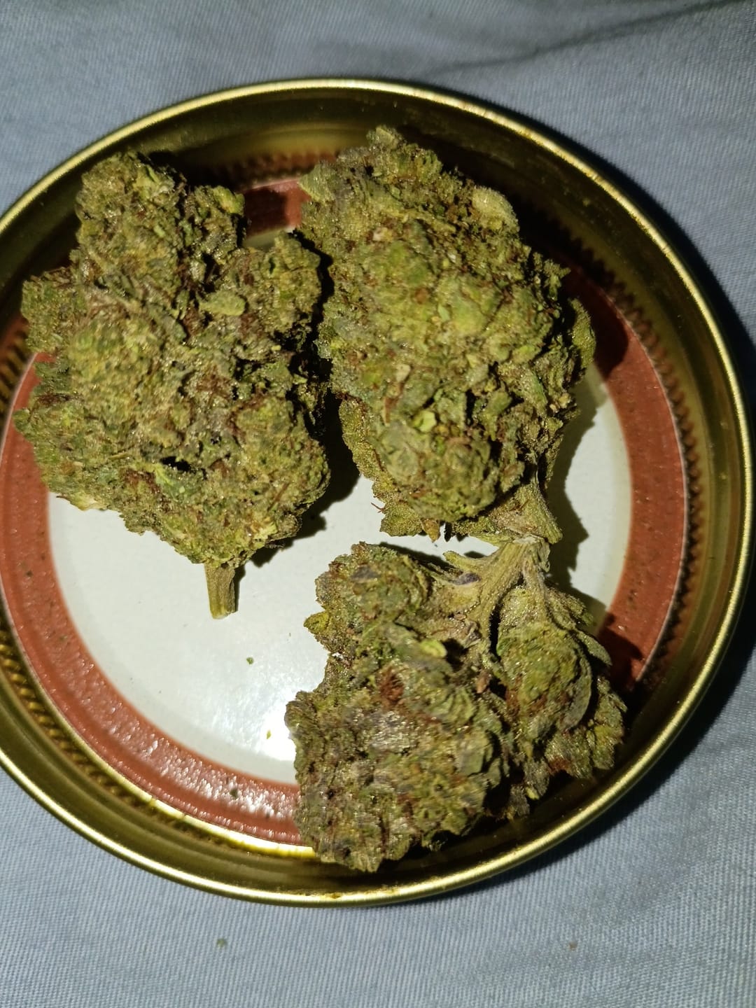 Customer photo review of Cheap THCA Flower Quarter Pound