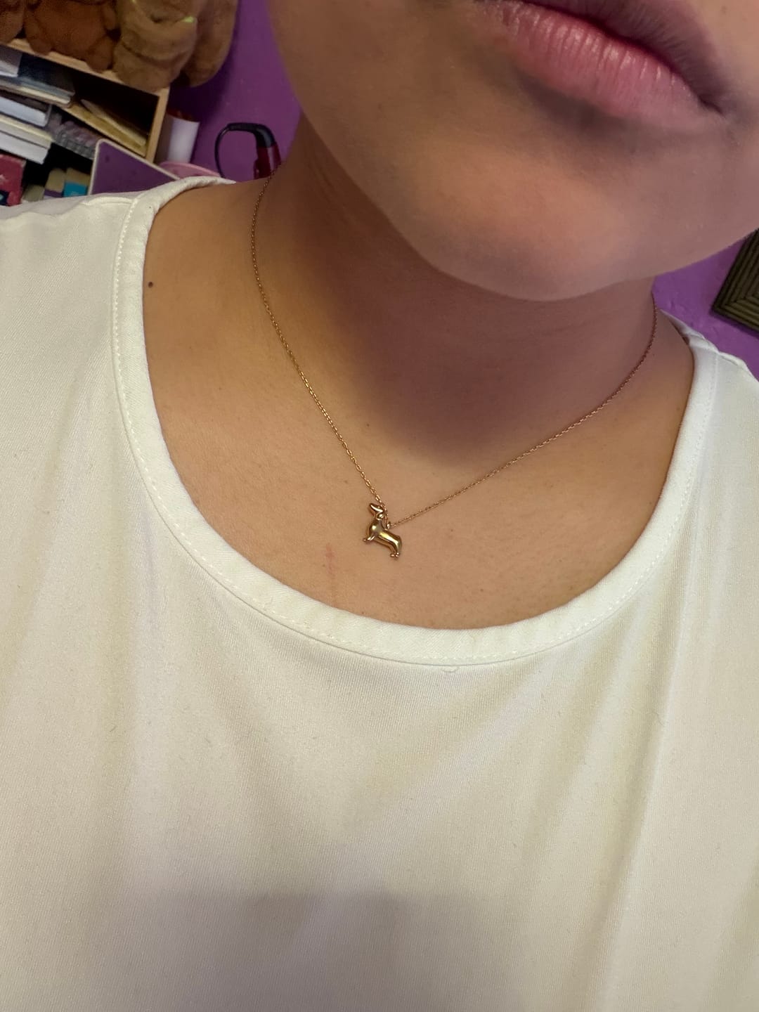 Customer photo review of Collar Sausage