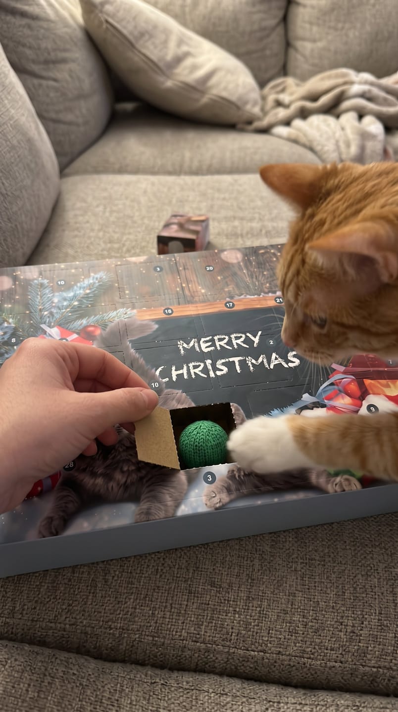 Customer photo review of Calendario de Adviento Para Gatos