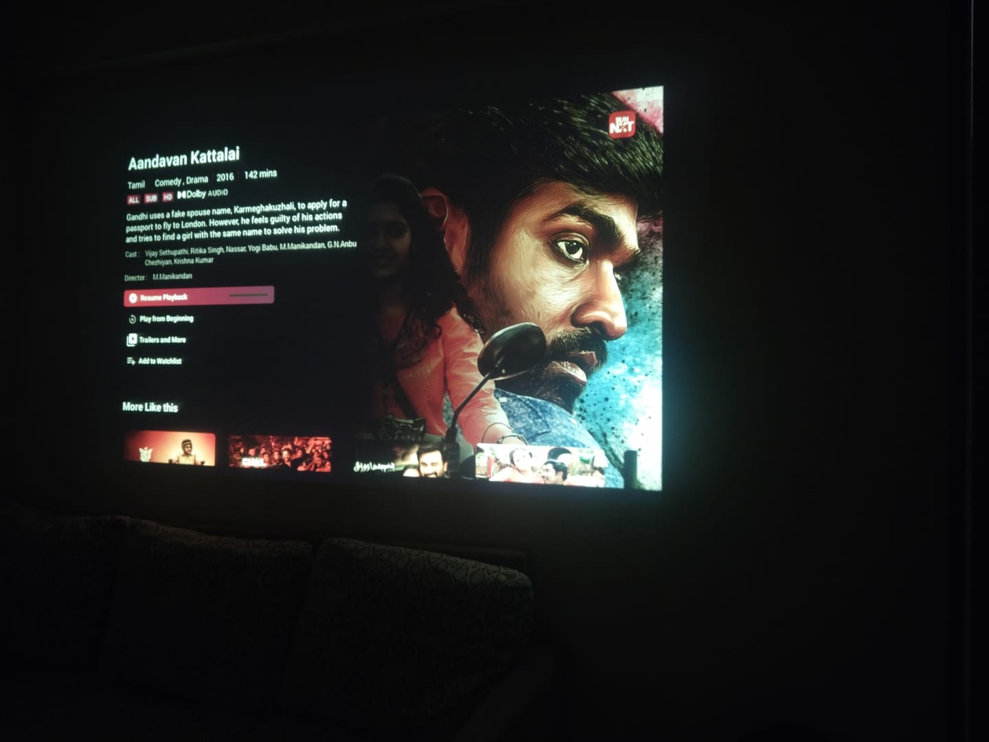 Customer photo review of Lumex Flix