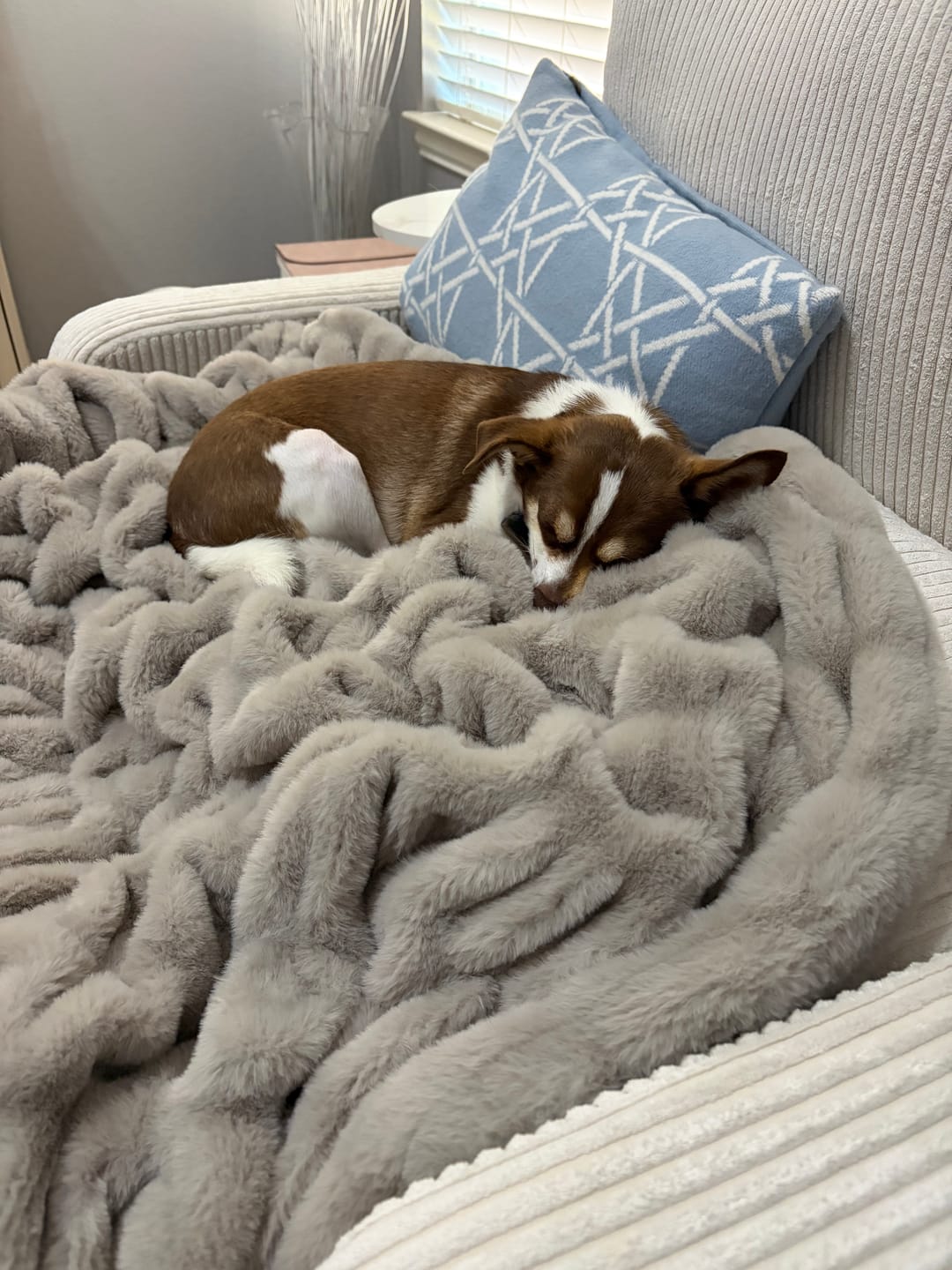 Customer photo review of Hugs Tranquil Dove Blanket