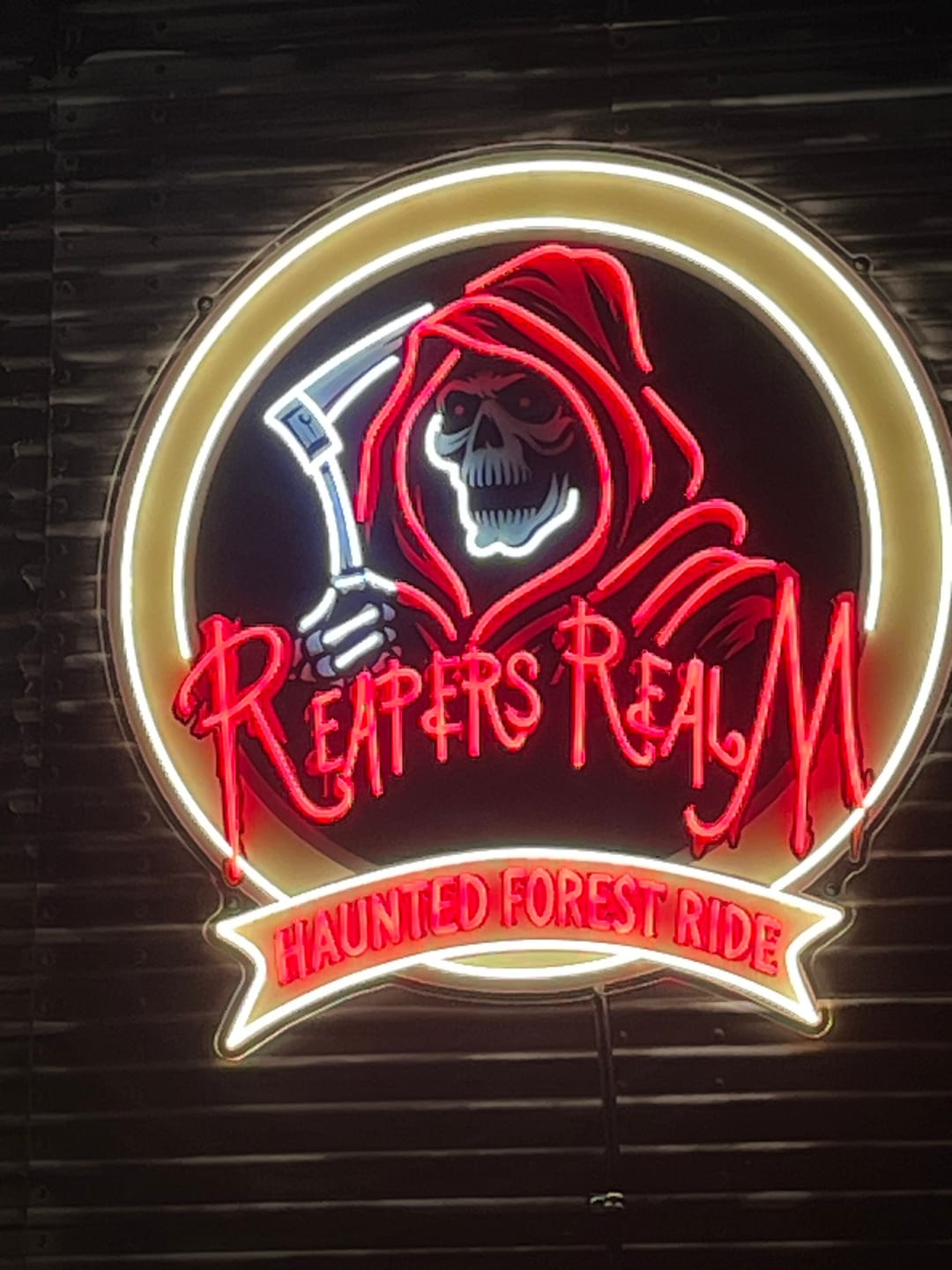 Customer photo review of REAPERS REAL M | LED Neon Sign