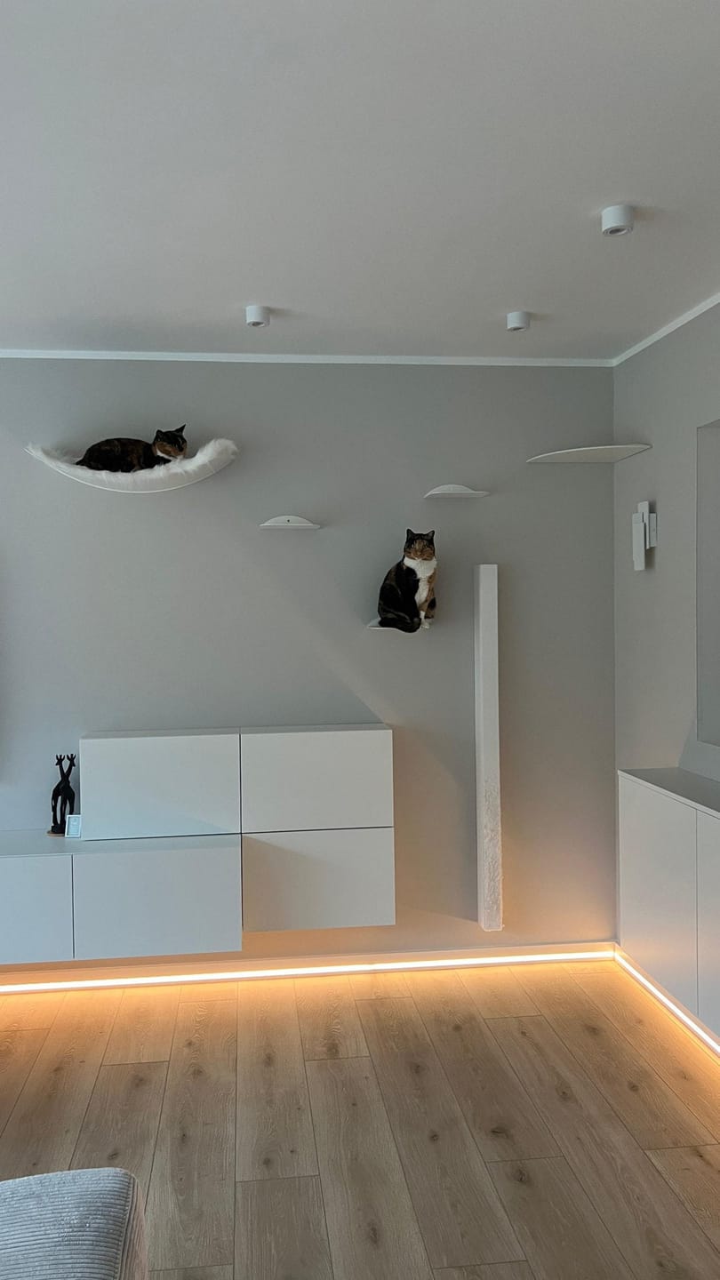 Customer photo review of STYA Katzen Kletterwand | Set Minimalist Hängematte XXL | Linie WL100