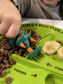 Customer photo review of DinoBites | Dinosaur Plate & Utensil Set