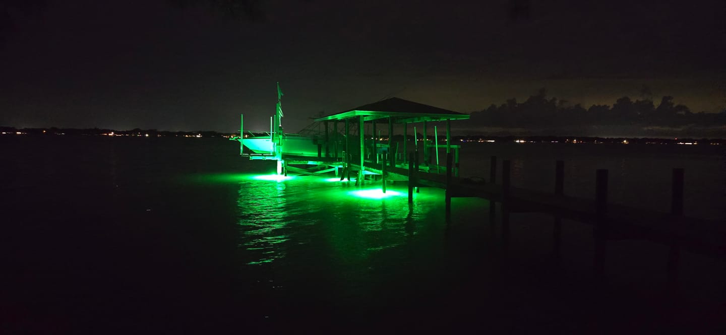 Customer photo review of HG1000G Underwater Fishing Light