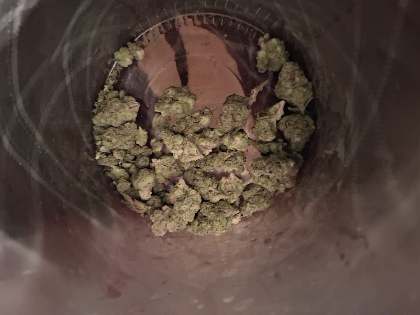 Customer photo review of Gusher Mintz Mediums - Bulk Mediums - Hybrid