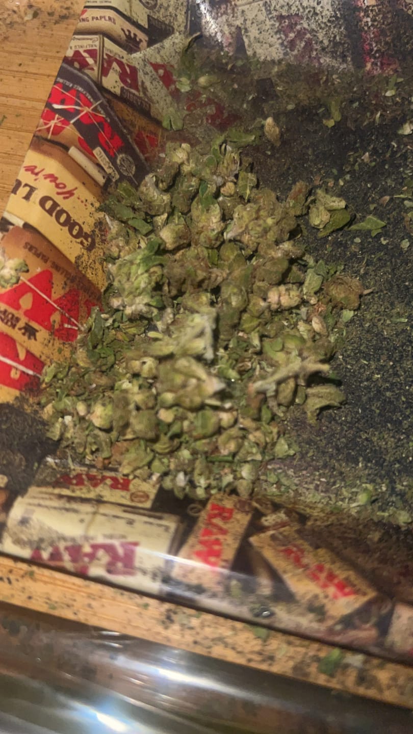 Customer photo review of Northern Lights - 28 Grams - Indica