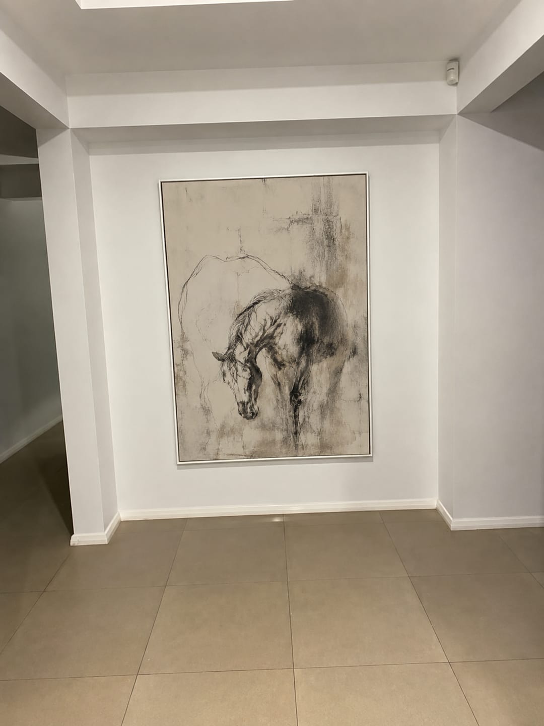 Customer photo review of Minimalist Art Y8OX