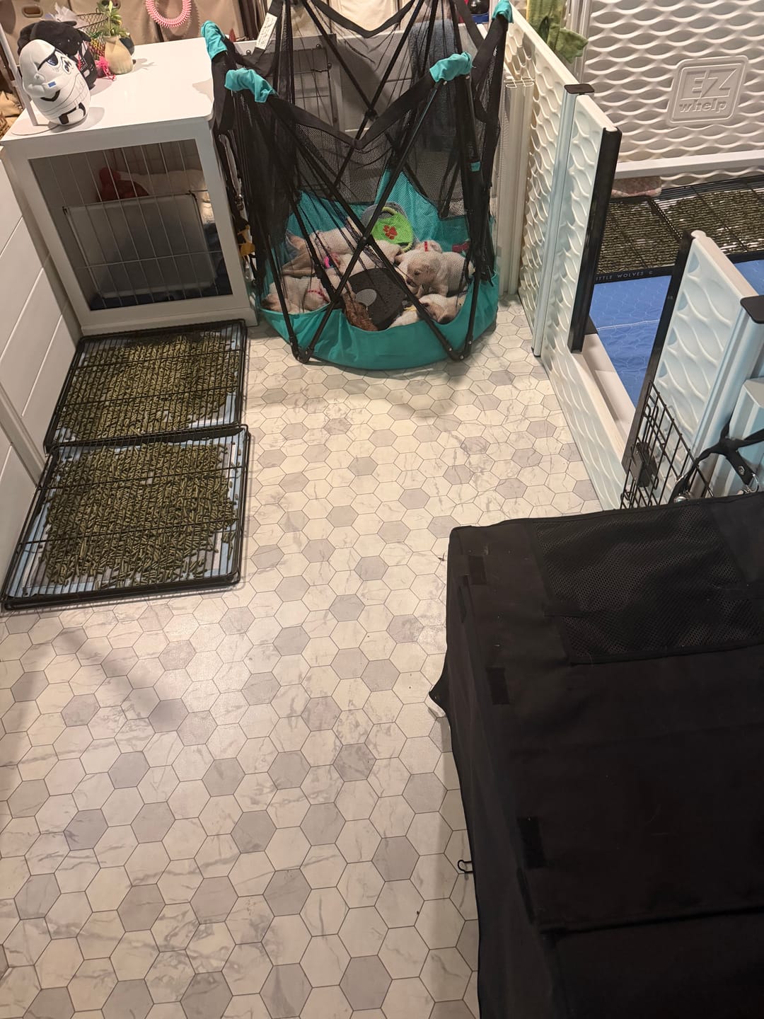 Customer photo review of Little Wolves Potty Tray 22" x 22"