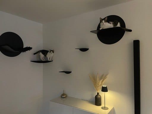 Customer photo review of STYA Katzen Kletterwand | Eckstufe WL160