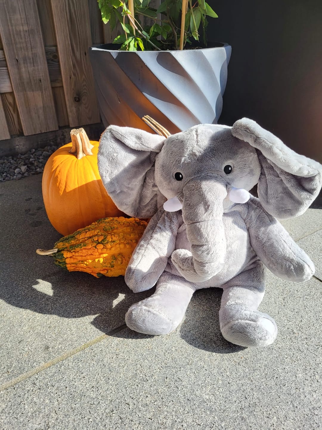 Customer photo review of Lotgenootje Olifant 2kg