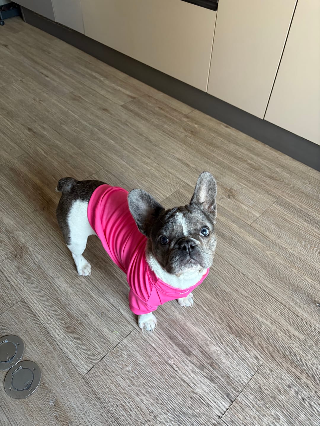 Customer photo review of Polera de Enfriamiento Fucsia