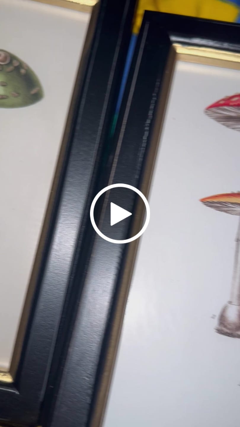 Customer video review of Vintage Pilz-Wandbilder – Botanische Deko im Rahmen (3er Set)