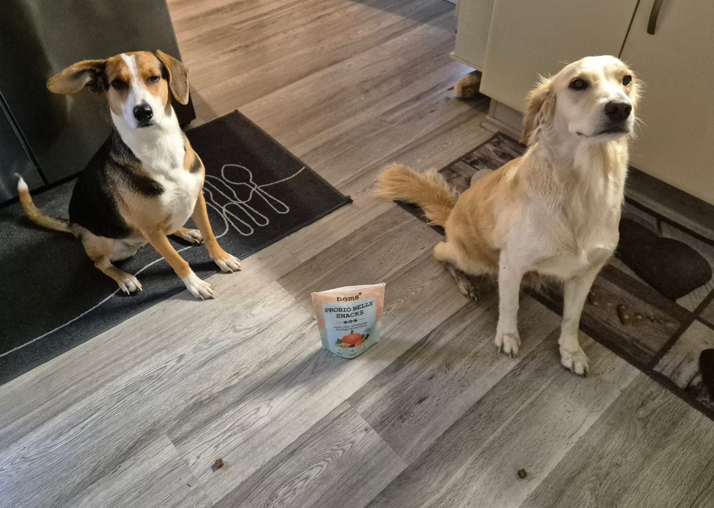 Customer photo review of Probio Belly Snacks für Hunde