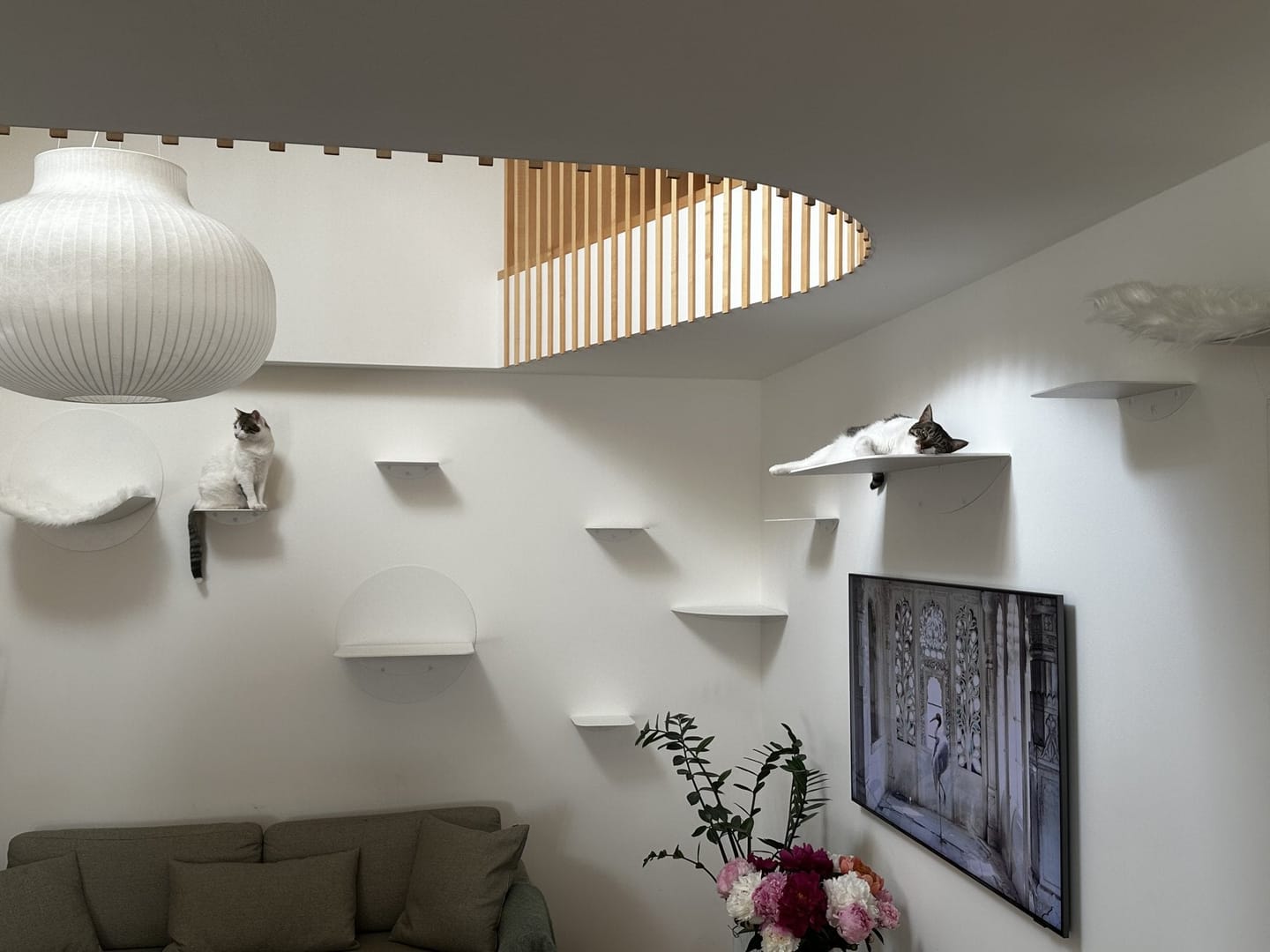 Customer photo review of STYA Katzen Kletterwand | Katzen Treppe WL140 | Mit 3 Stufen