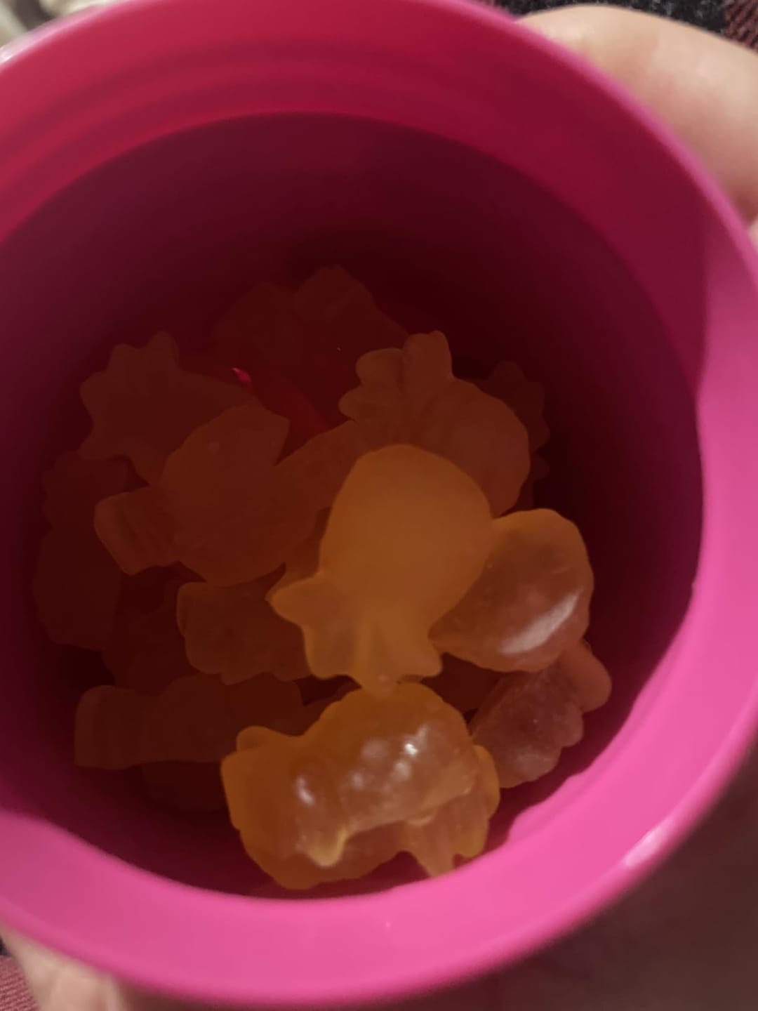 Customer photo review of Slippery Elm Probiotic Gummies for Women