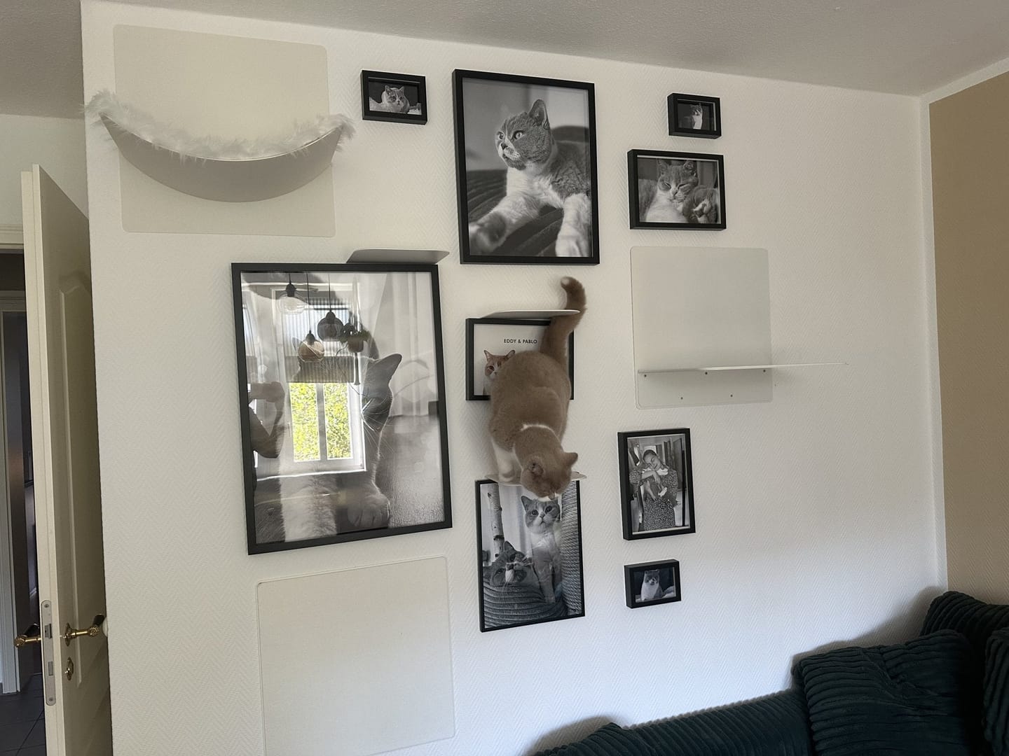 Customer photo review of STYA Katzen Kletterwand | Wandliege WL320