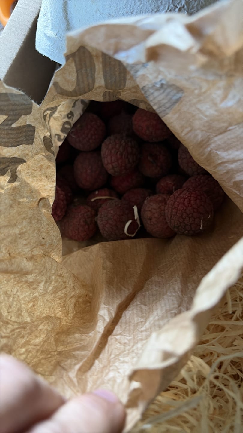 Customer photo review of Litschi (Lychee) Bio von Julian