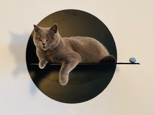 Customer photo review of STYA Katzen Kletterwand | Set Galerie | Linie WL100