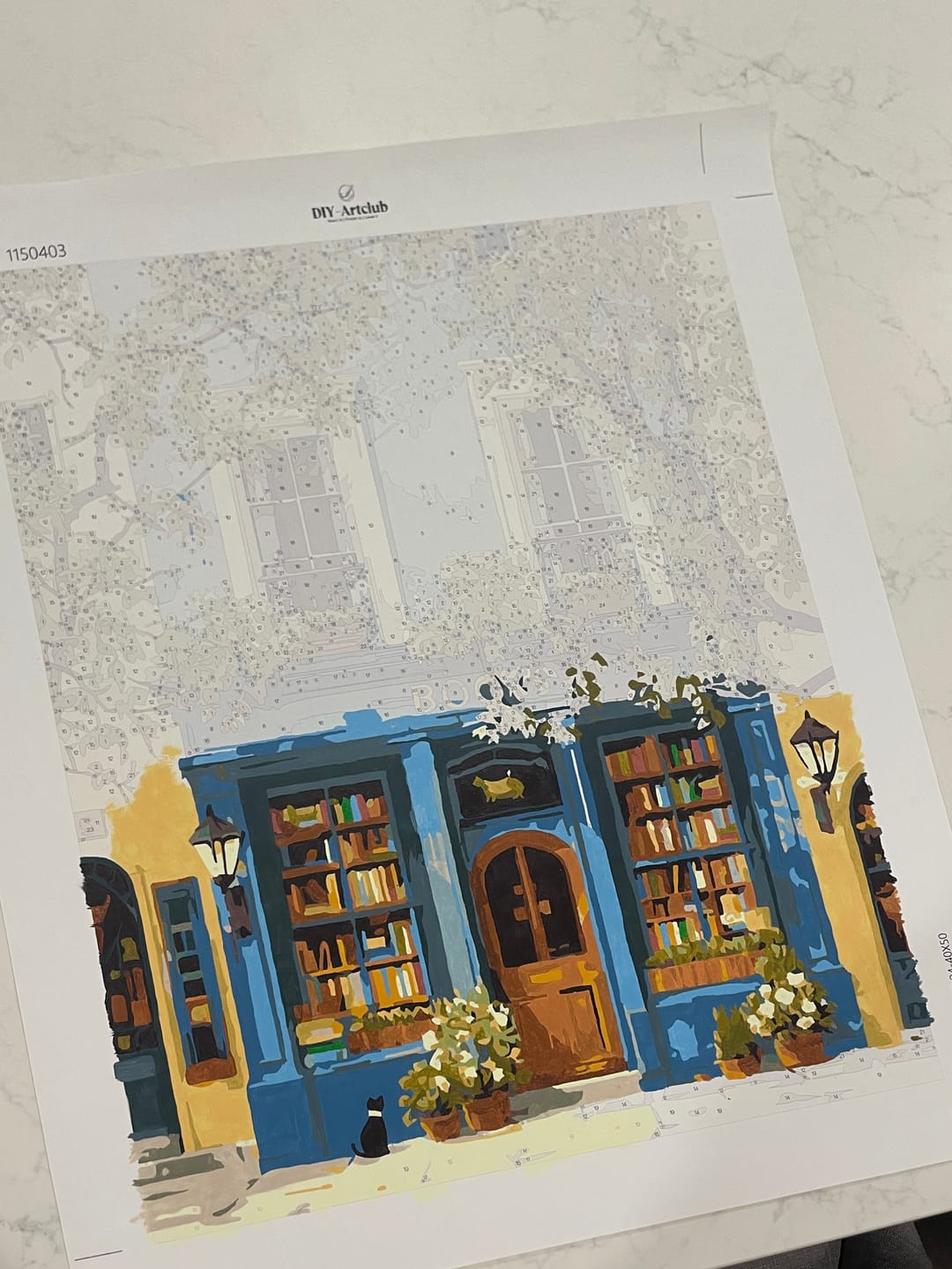 Customer photo review of The Blue Bookshop | Paint by Number