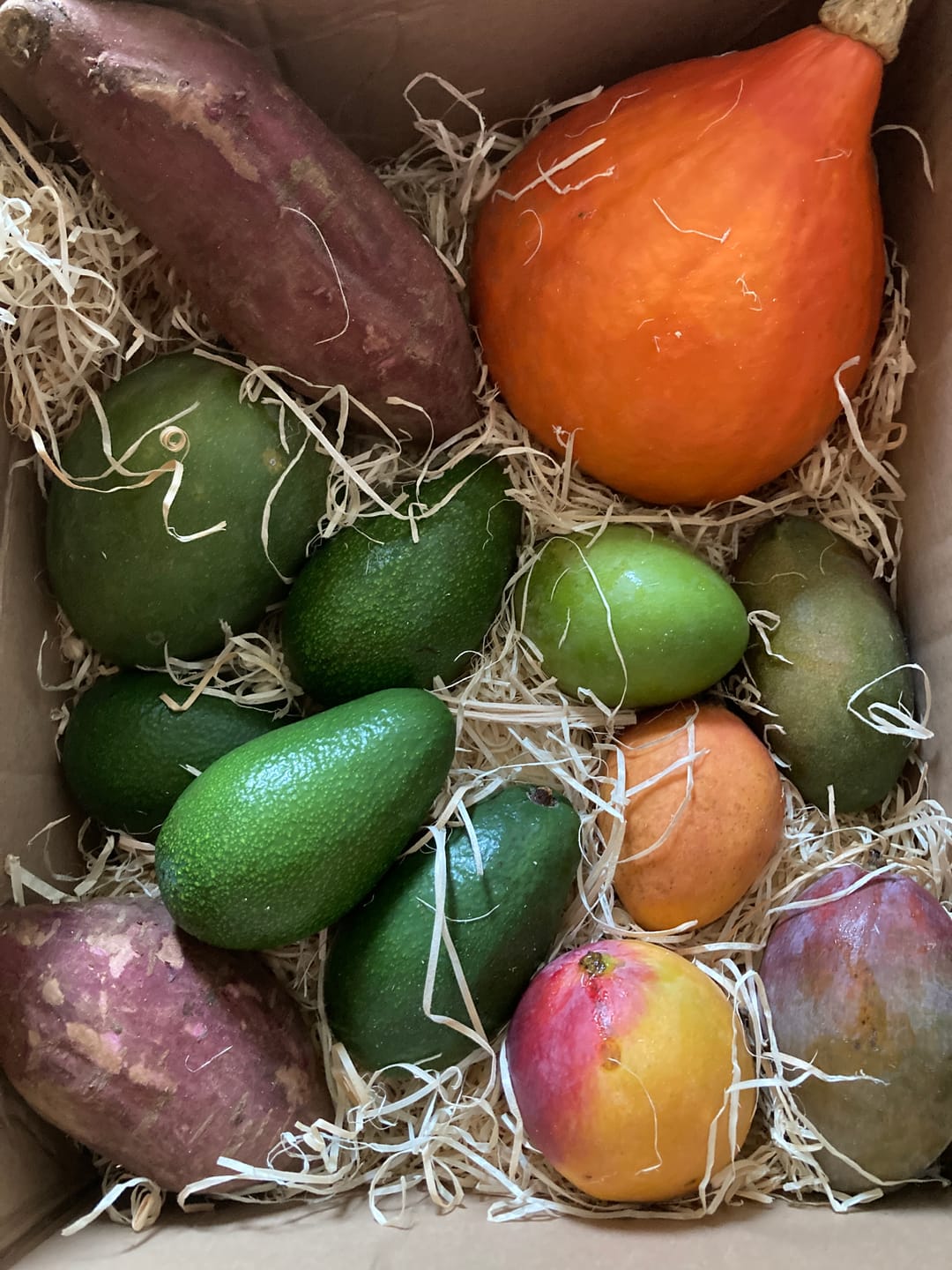 Customer photo review of Mango-Raritäten Mix von Julian Aktionswoche %