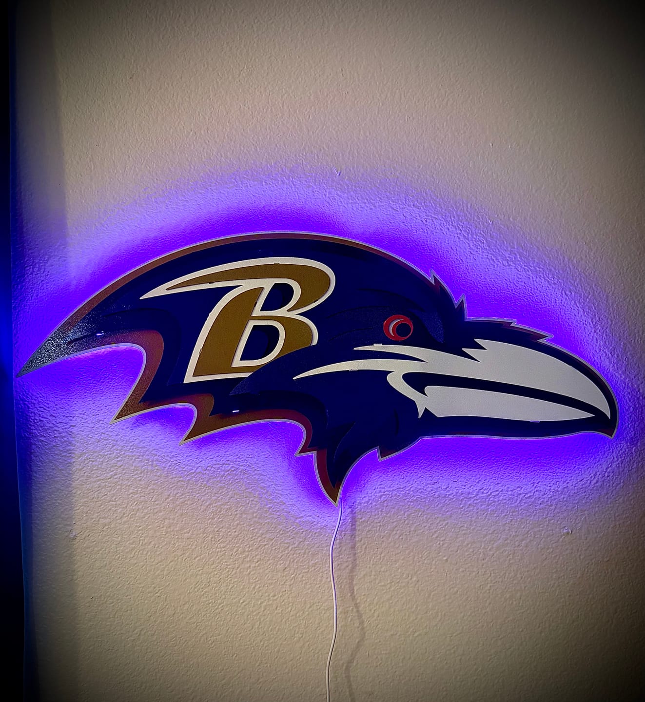 Customer photo review of Baltimore Ravens "Raven Mascot" 3D Vintage Metal Wall Art