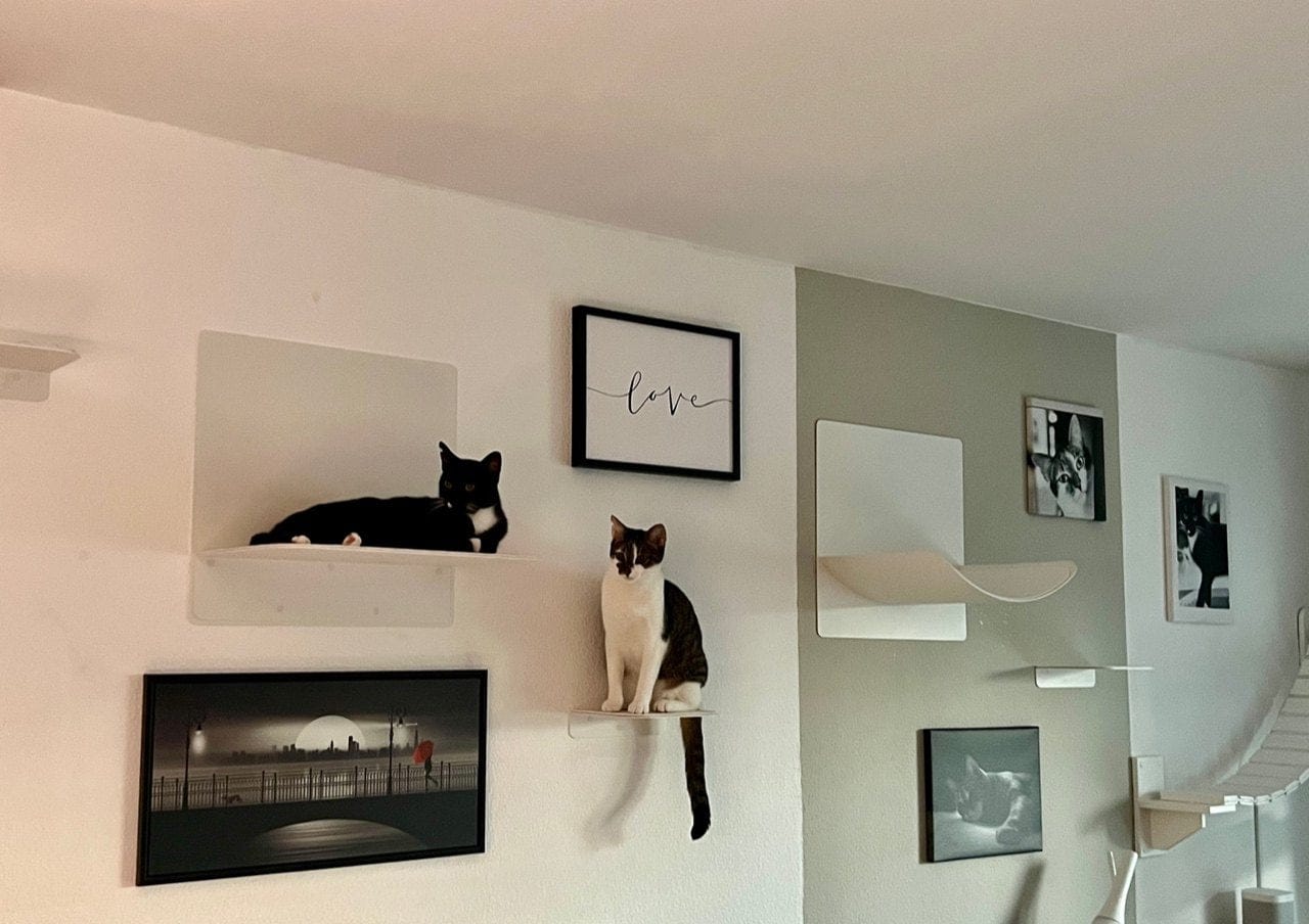 Customer photo review of STYA Katzen Kletterwand | Katzen Treppe WL140 | Mit 3 Stufen