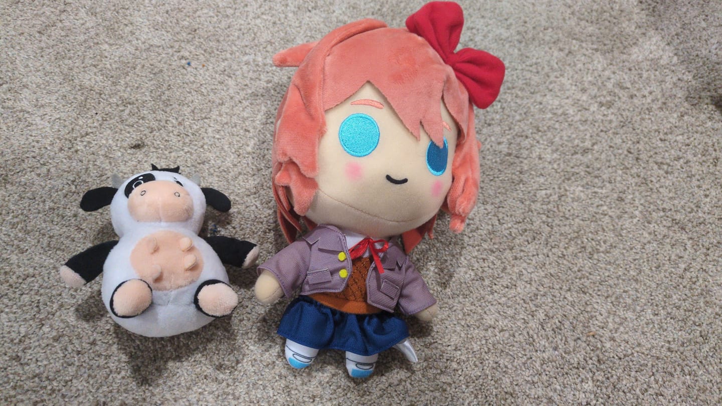 Customer photo review of Doki Doki Literature Club - Sayori Collector's Plush