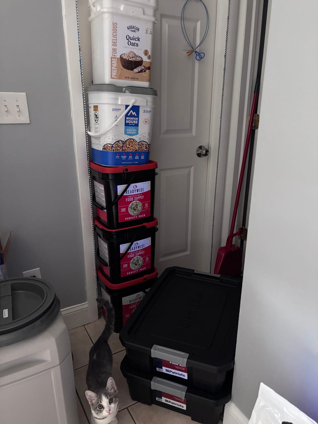 Customer photo review of 100 Serving Variety Pack