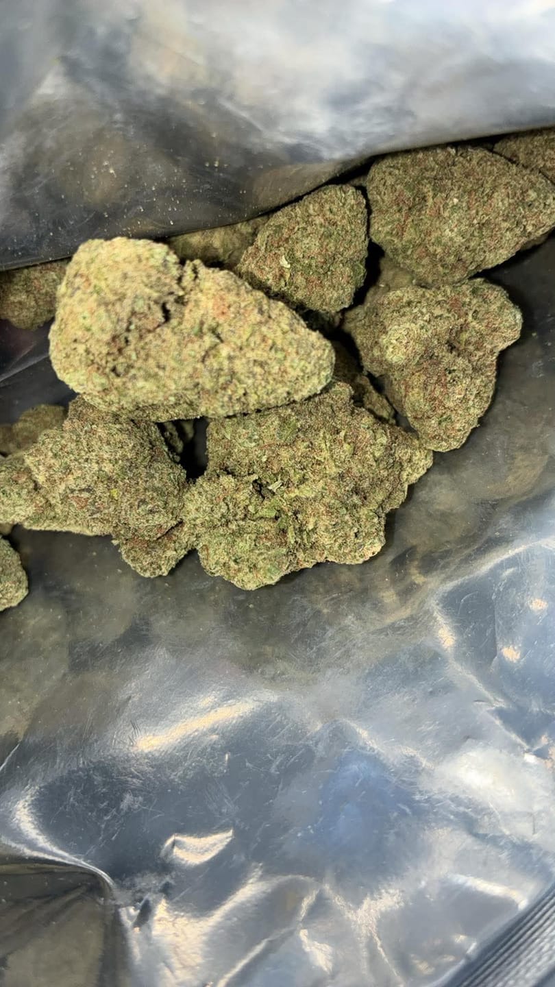 Customer photo review of Lyon King THCA Flower