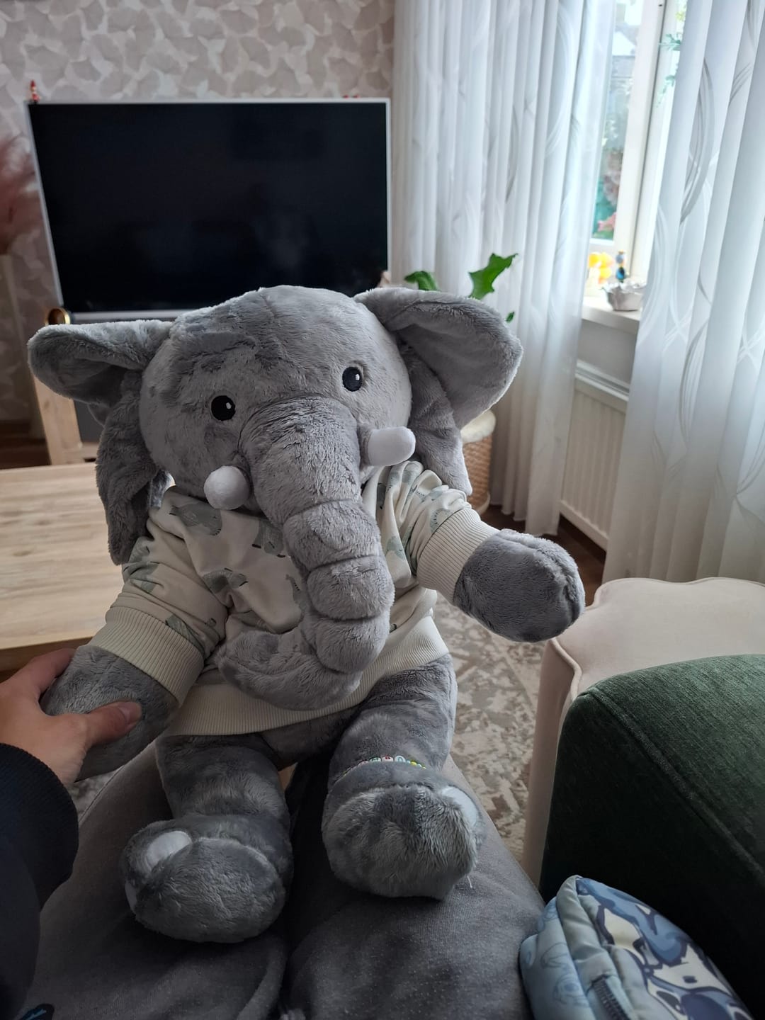 Customer photo review of Lotgenootje Olifant 2kg