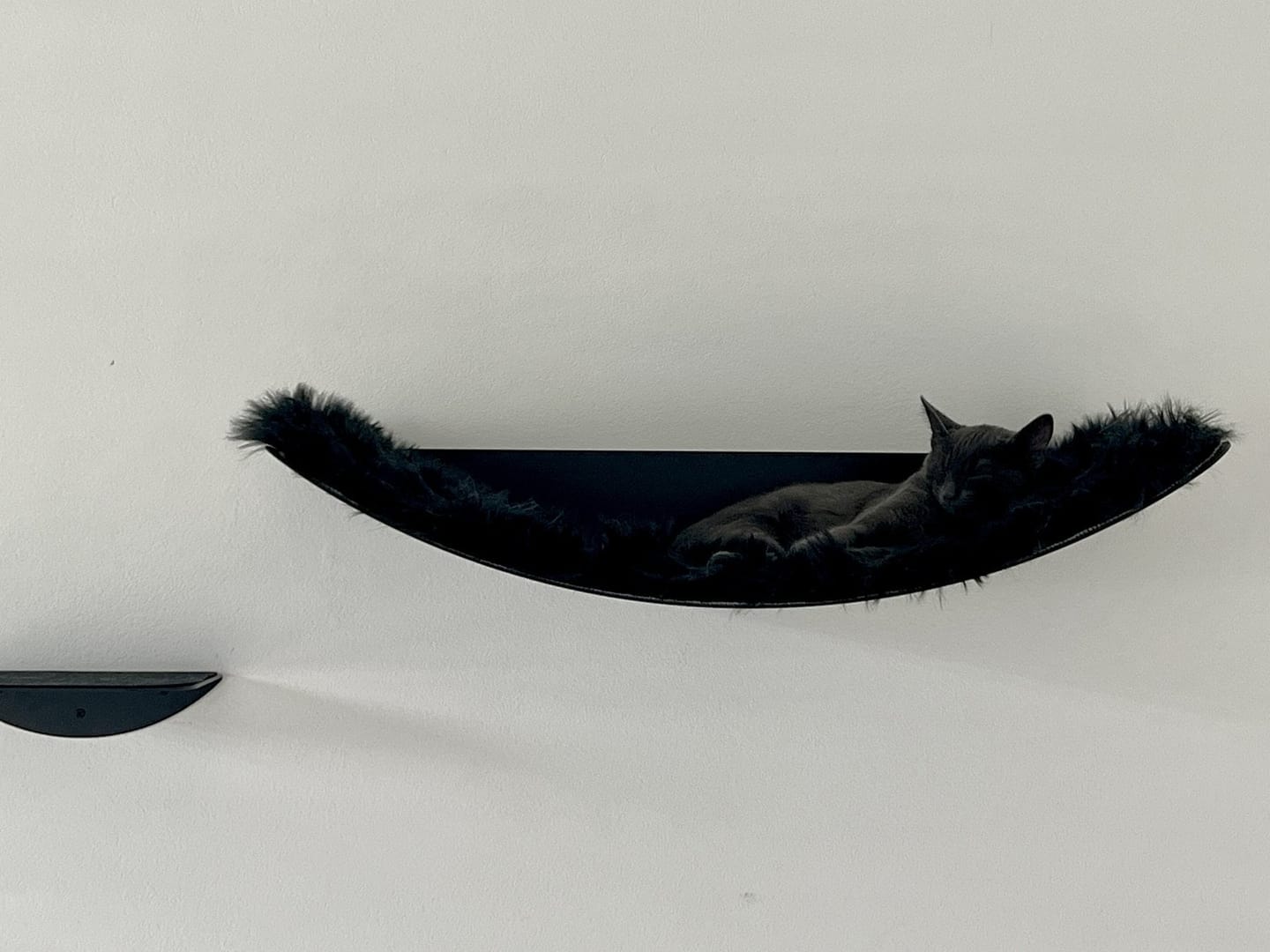 Customer photo review of STYA Katzen Kletterwand | Katzen Treppe WL140 | Mit 3 Stufen