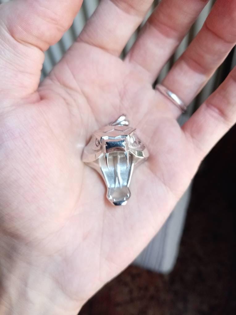 Customer photo review of Viper School Medallion Pendant