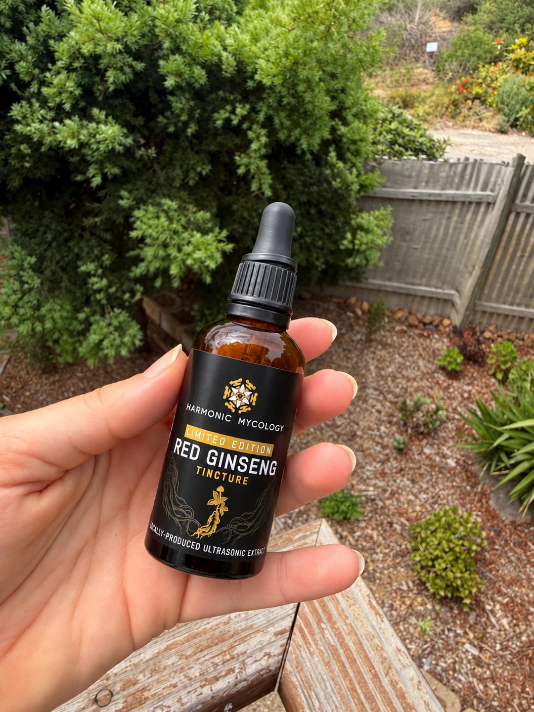 Customer photo review of Panax Ginseng extract