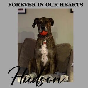 Customer photo review of Pet Memorial Photo Block