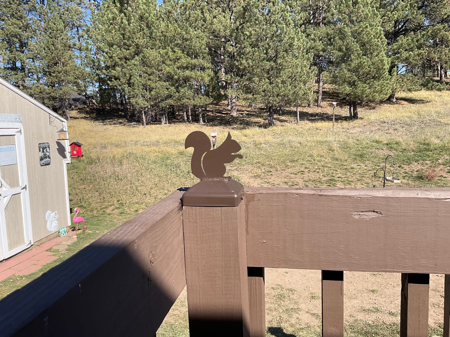 Customer photo review of Squirrel Fence Post Cap (Multiple Post Sizes Available)