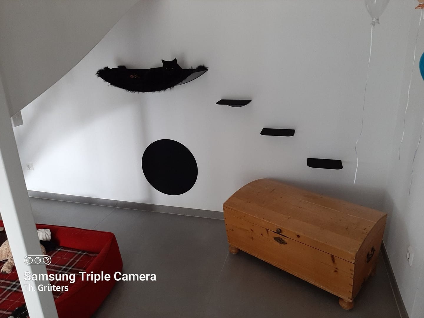 Customer photo review of STYA Katzen Kletterwand | Kratzbrett KF130