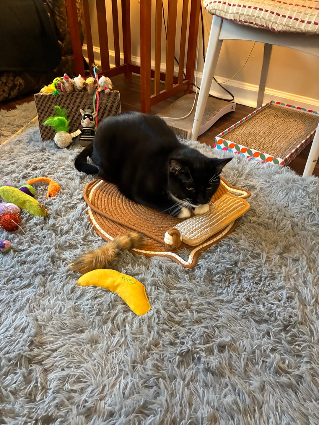 Customer photo review of Instinct Mat | The Scratching Mat Her Biology Actually Recognizes (NEW)